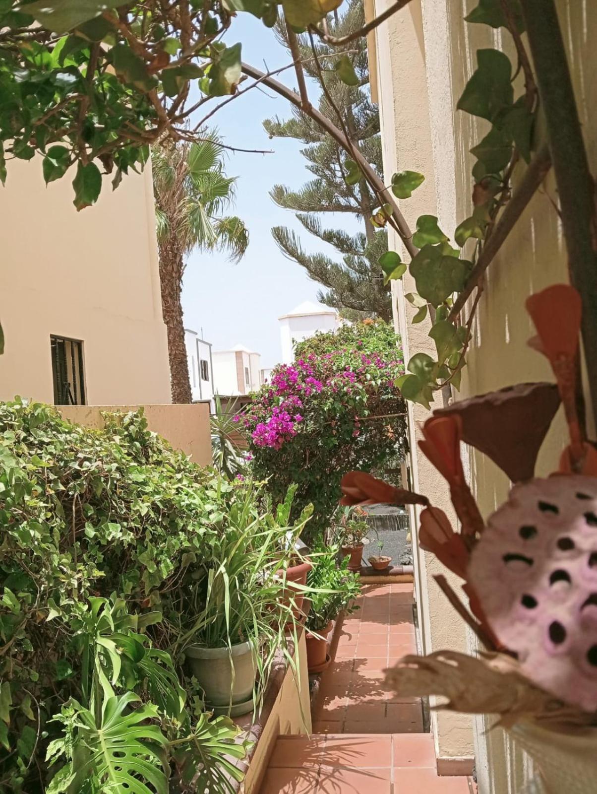 Casa Noray 18 Διαμέρισμα Playa Honda  Εξωτερικό φωτογραφία